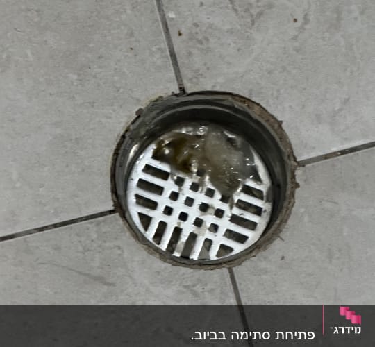 ניקוז רצפה עם לכלוך על ריצוף אפור